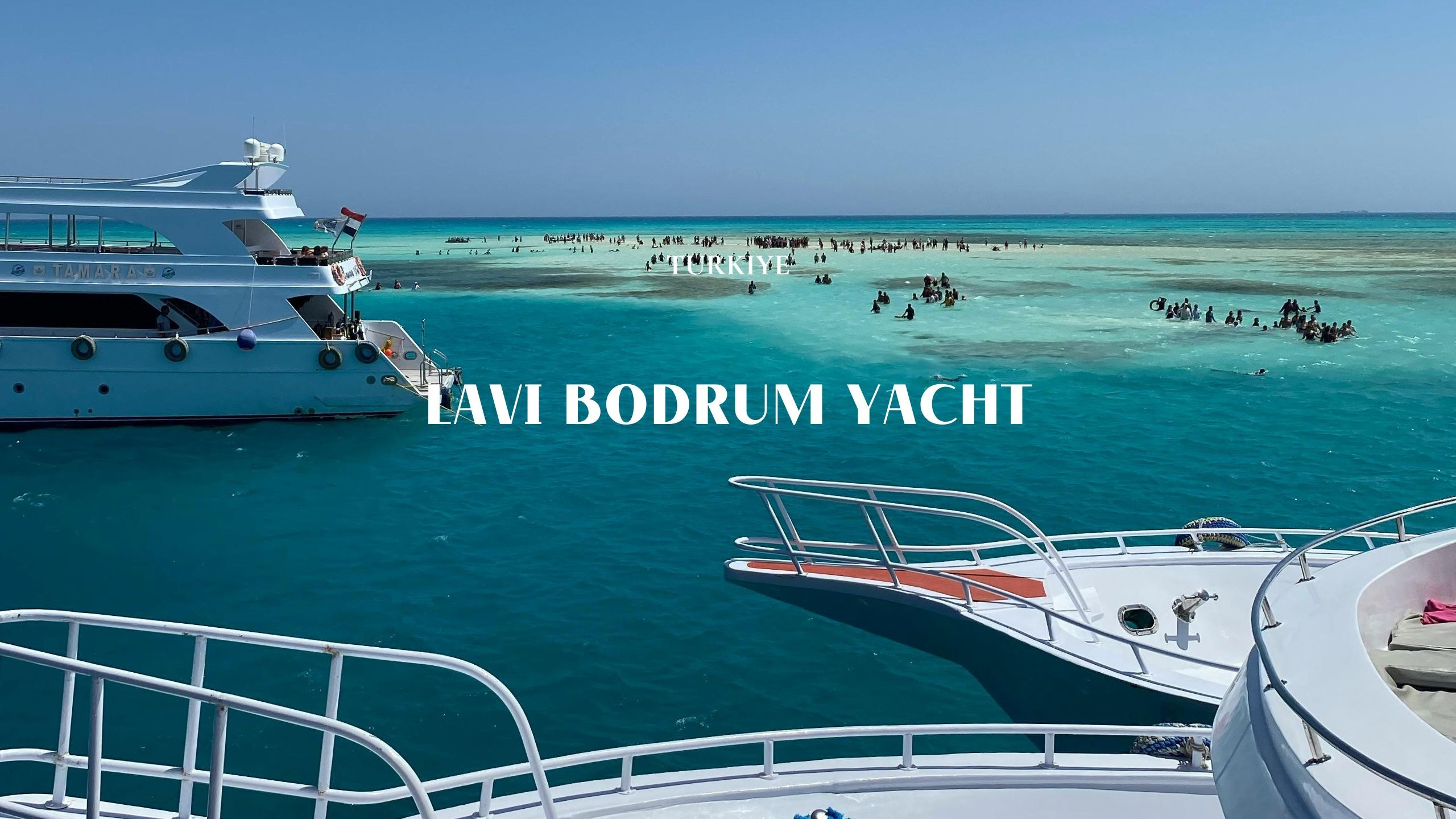 Lavi Group by lavitravel