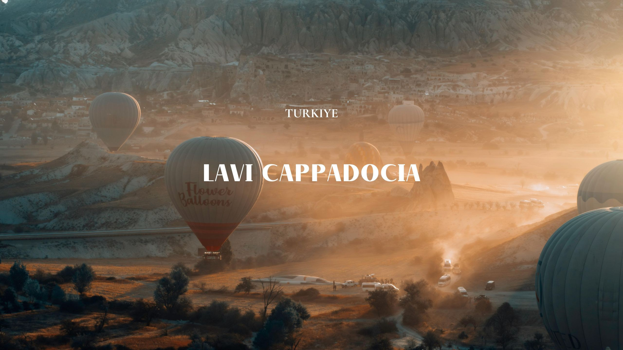 Lavi Group by lavitravel