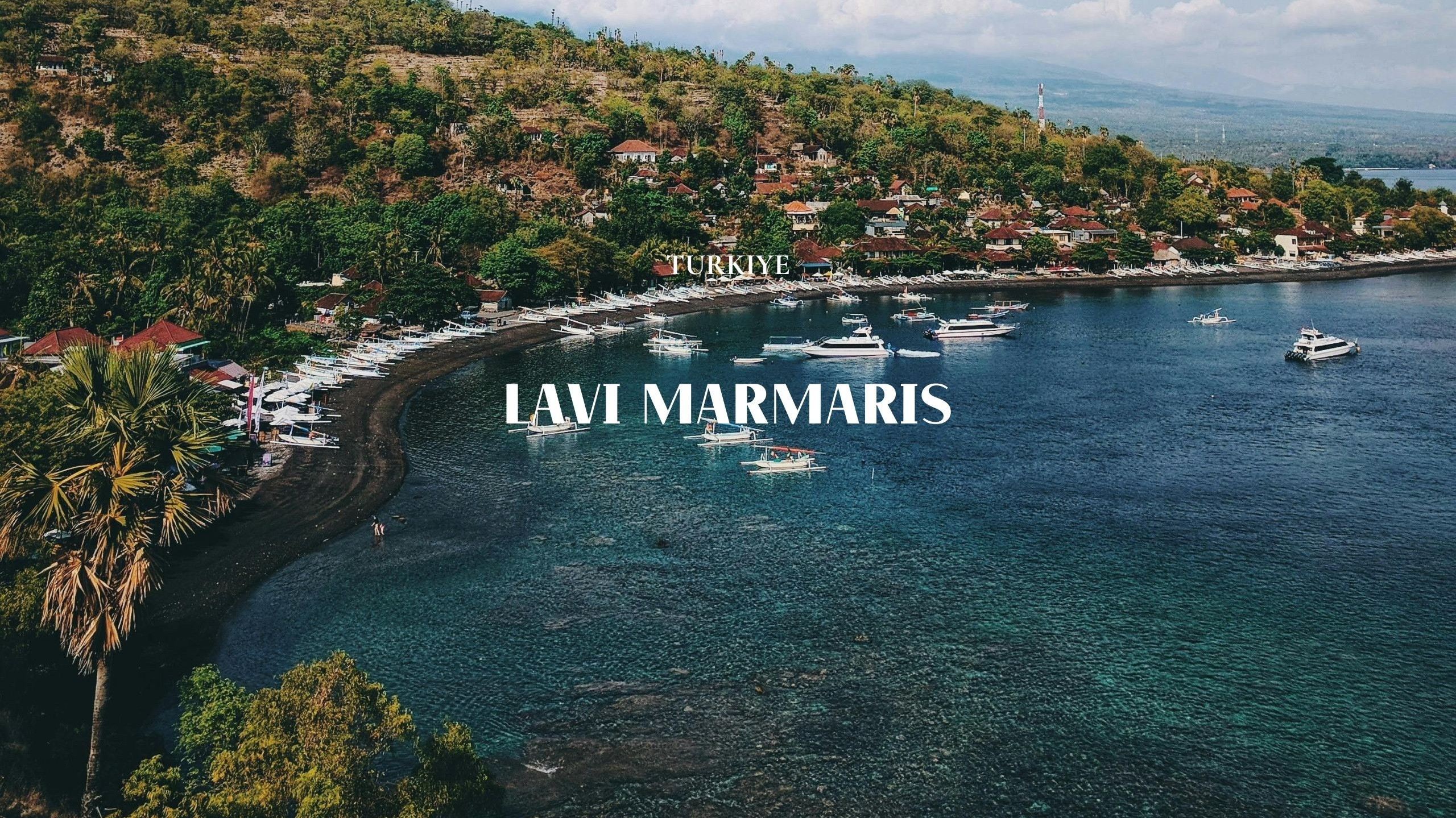 Lavi Group by lavitravel