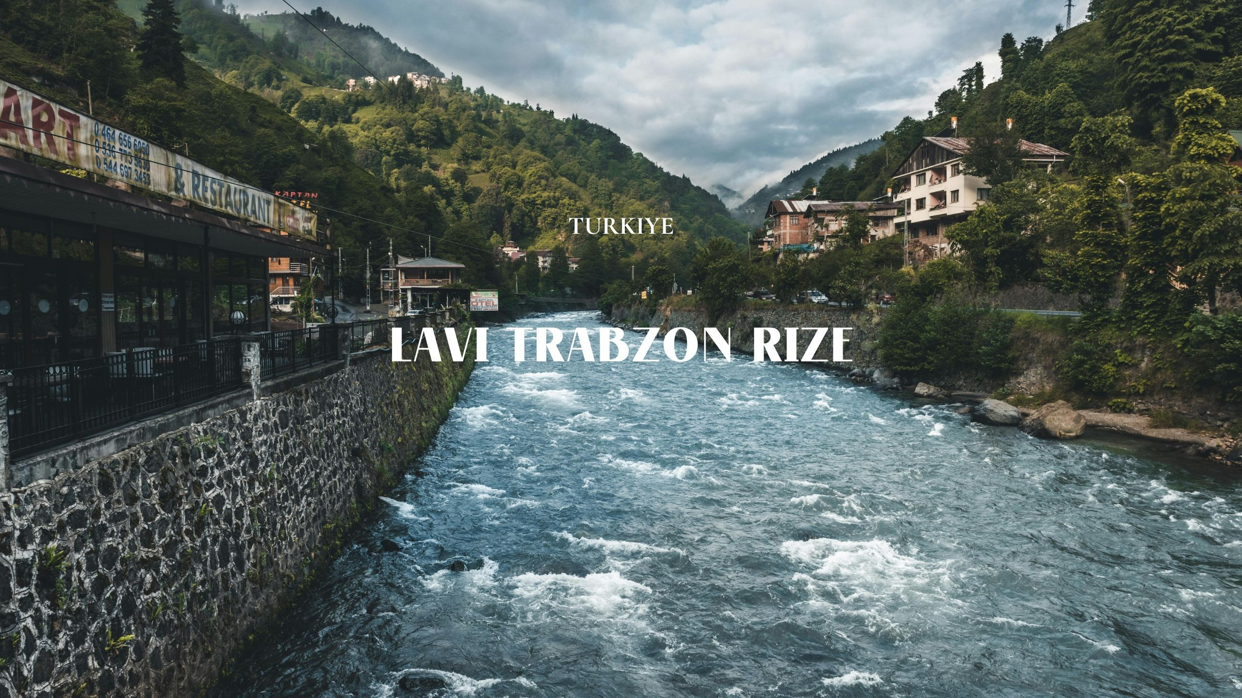 Lavi Group by lavitravel