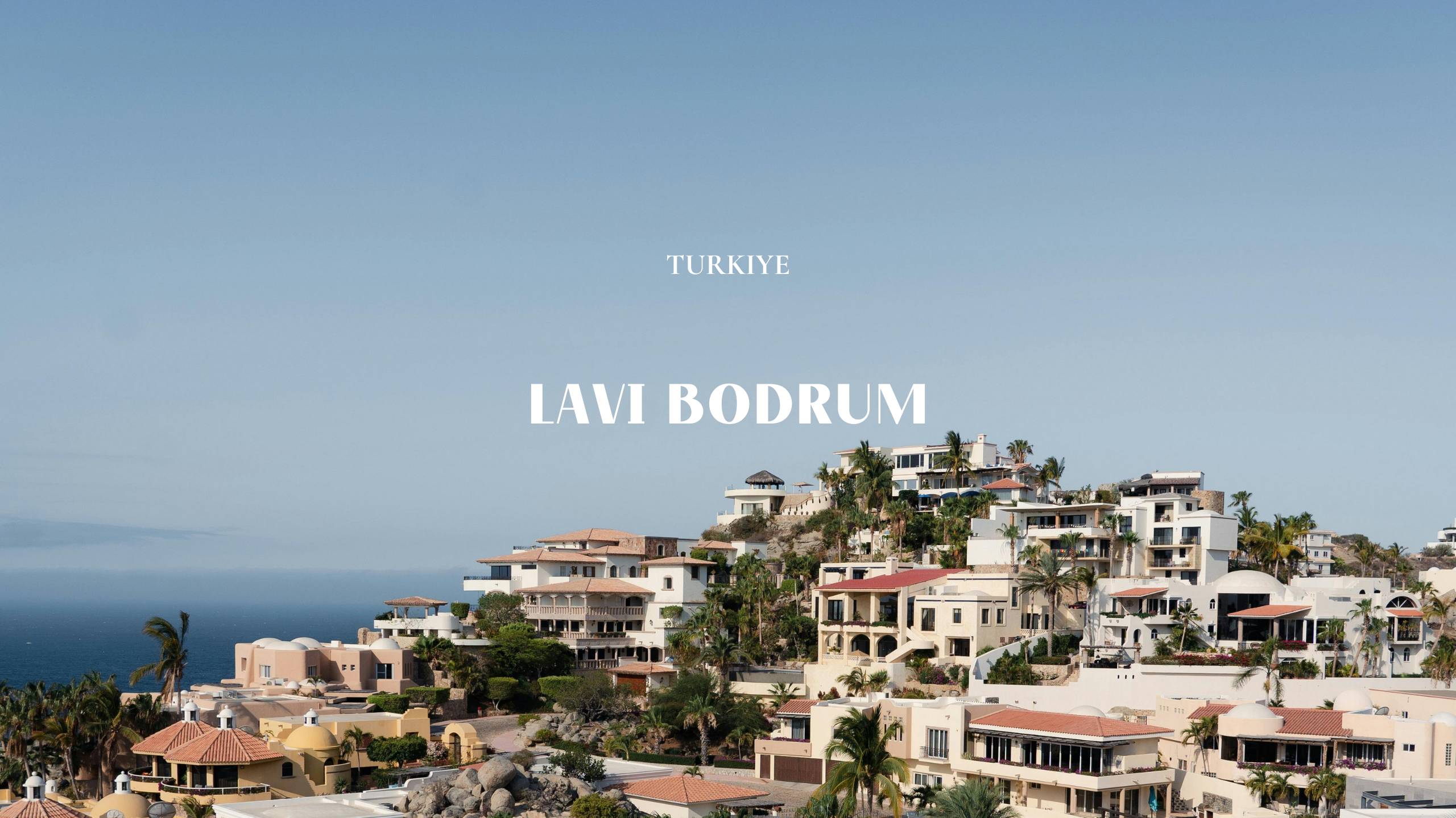 Lavi Group by lavitravel