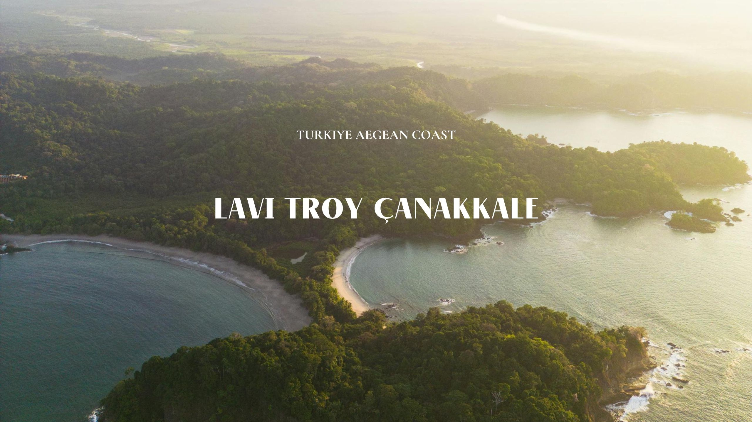 Lavi Group by lavitravel