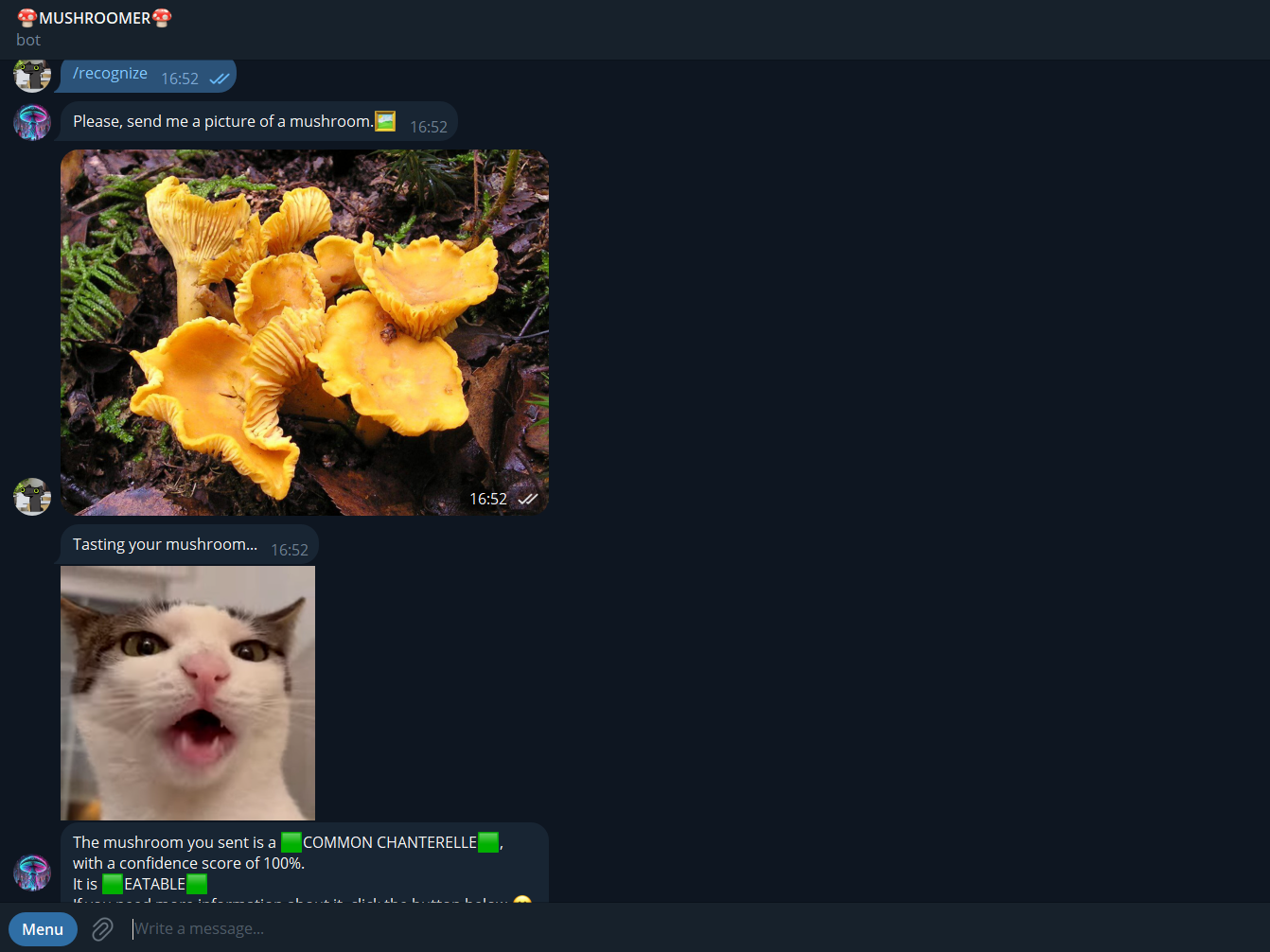 AI Mushroomer — Intelligent Mushroom Recognition System. IIMACS — The International Institute of Mathematics, AI & Computer Science