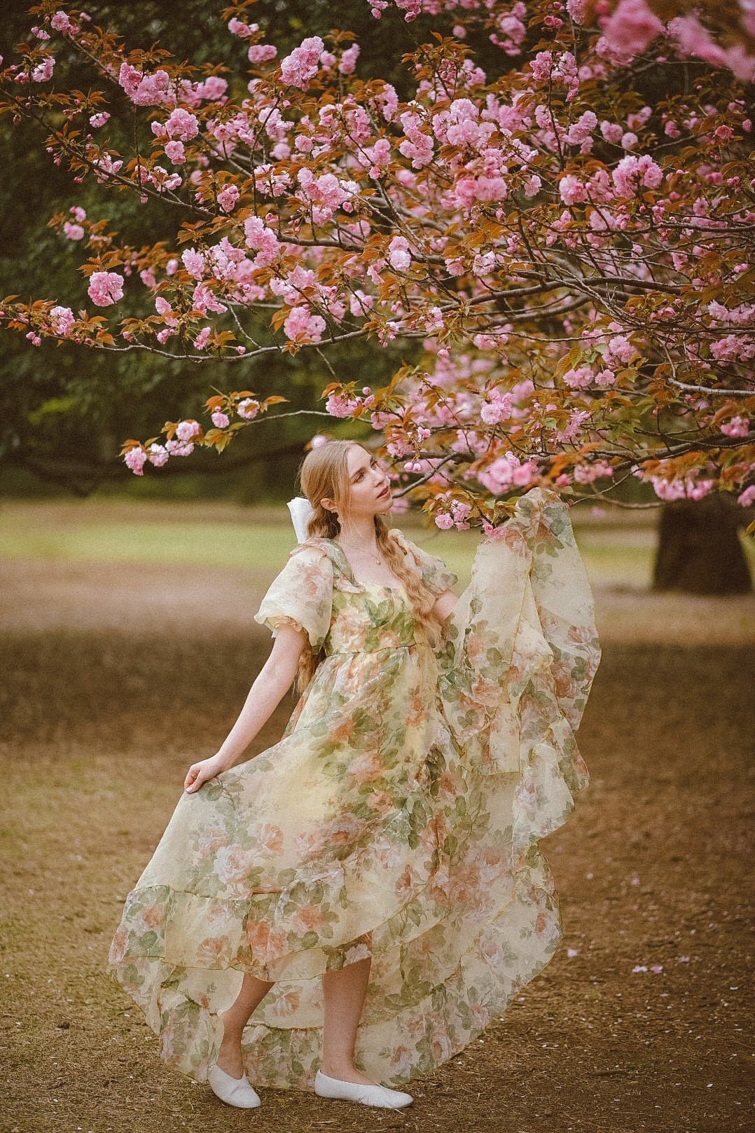 Rental dress. Photographer in Tokyo, Japan