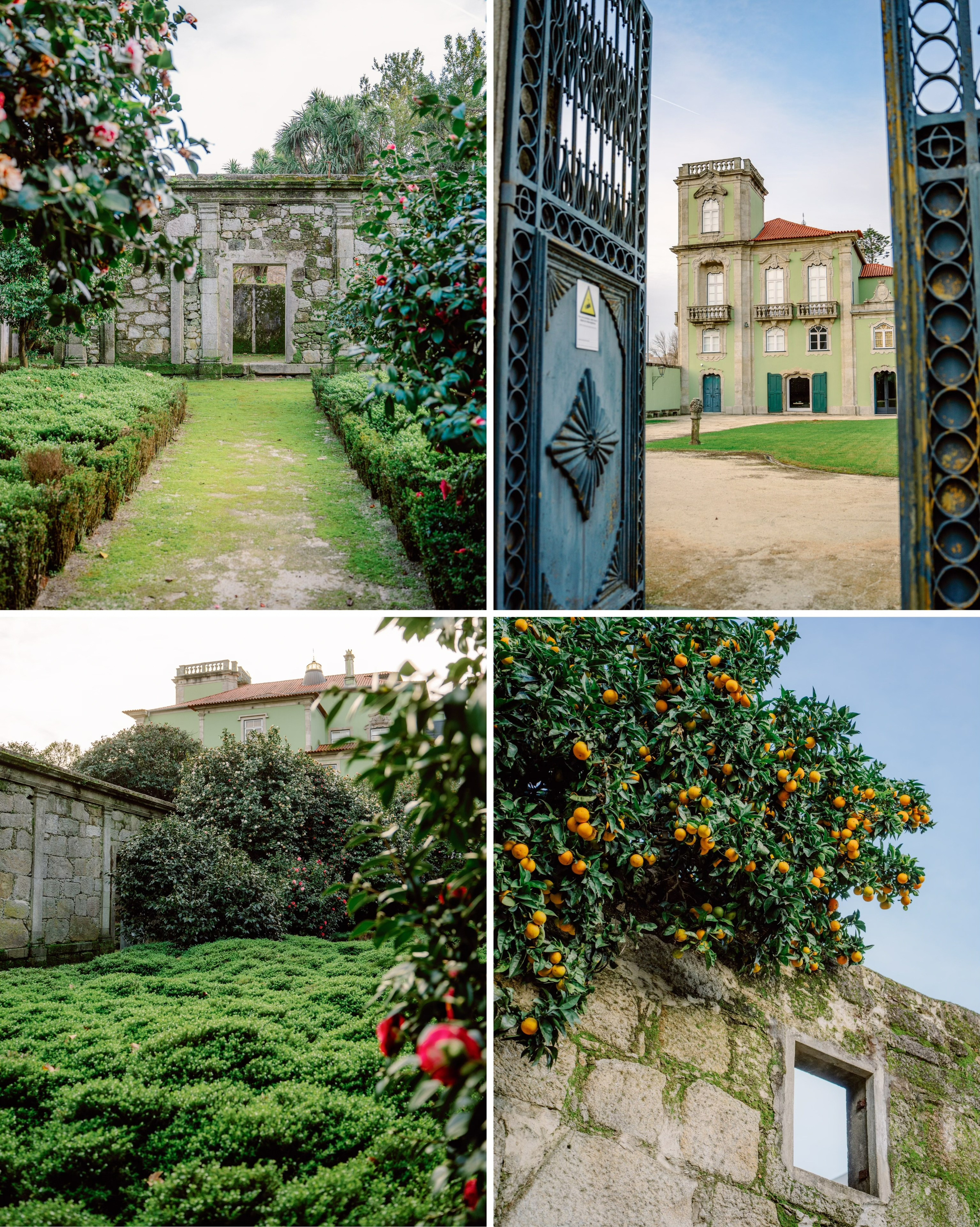 Top 25 places in Porto. Photo and video shoots, photo tours in Portugal — WePortugal