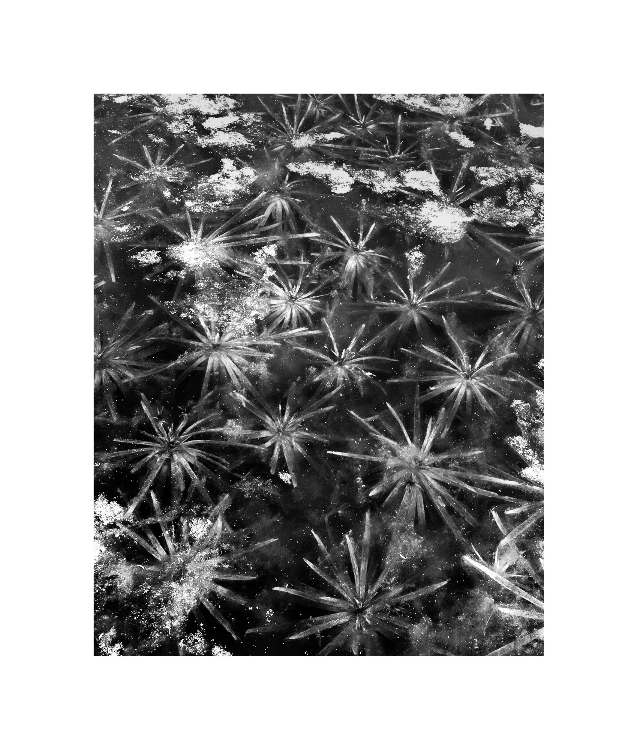 Gallery. Olga Häckel