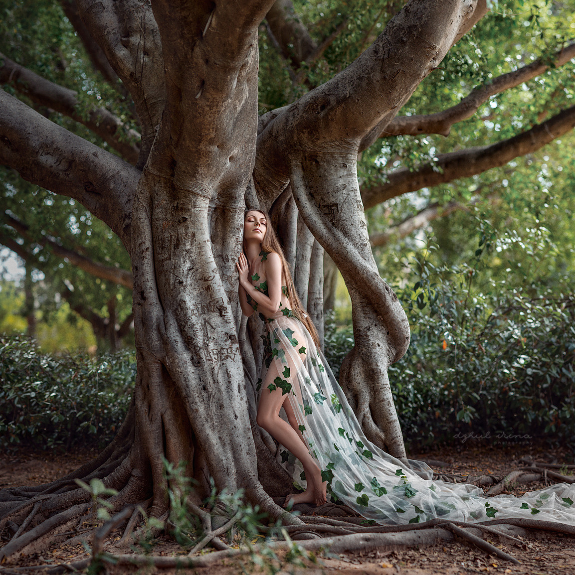 SOUL OF TREE. Art photographer in Amsterdam, the Netherlands Irina Dzhul