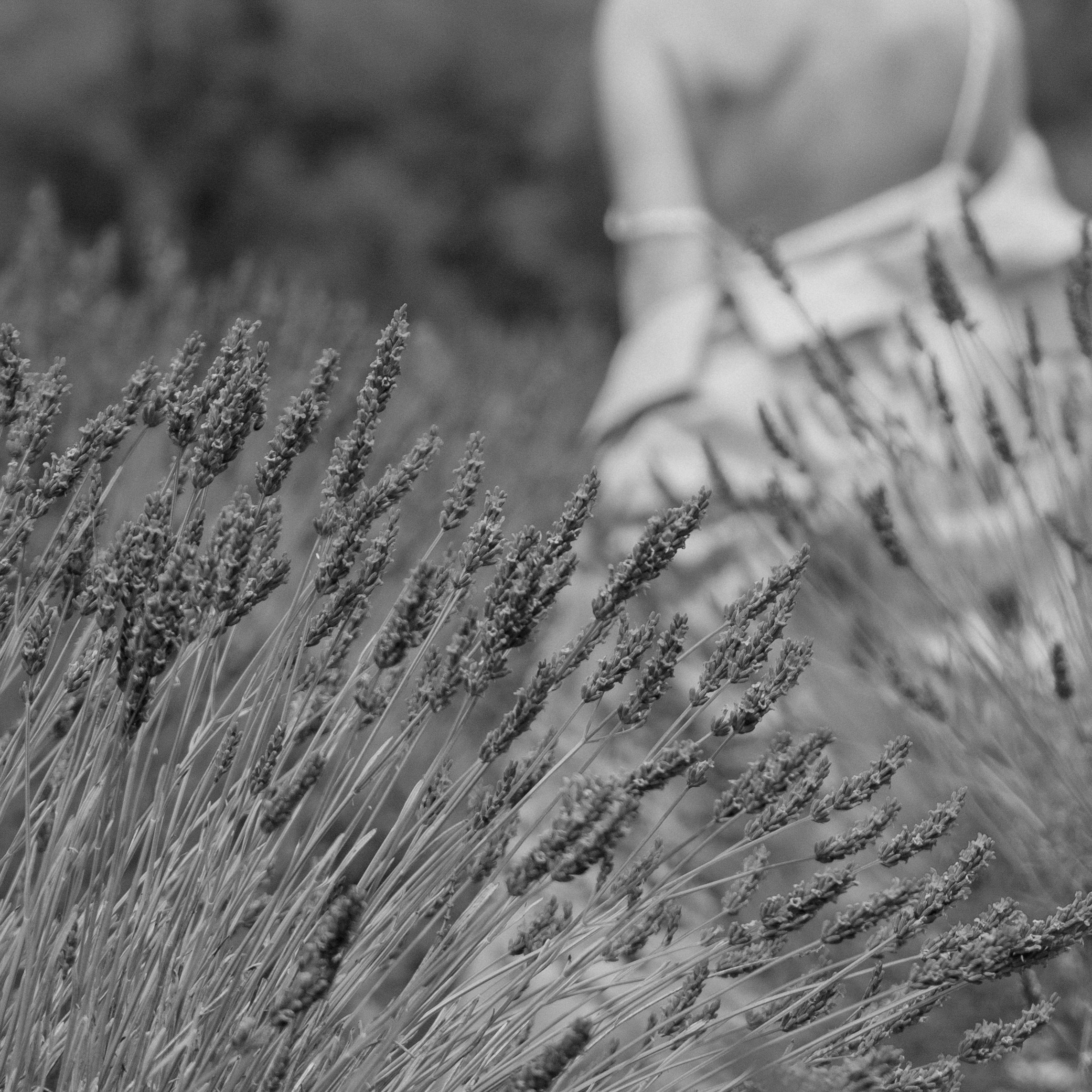 PRESENCE: COCOONING AND EXPANSION. Natalja Poplavska — Visual artist, Photographer, East Sussex, London