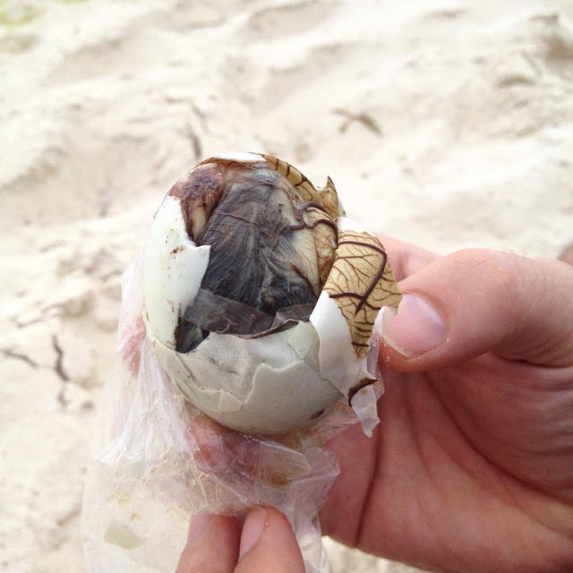 Fotografo de boda, familia Alicante Benidorm Valencia Costa Blanca