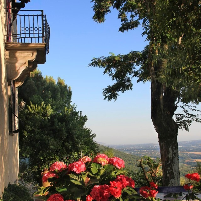 Contact us. Sensory Luxury Tours — Exclusive Private Journeys in Umbria and Tuscany