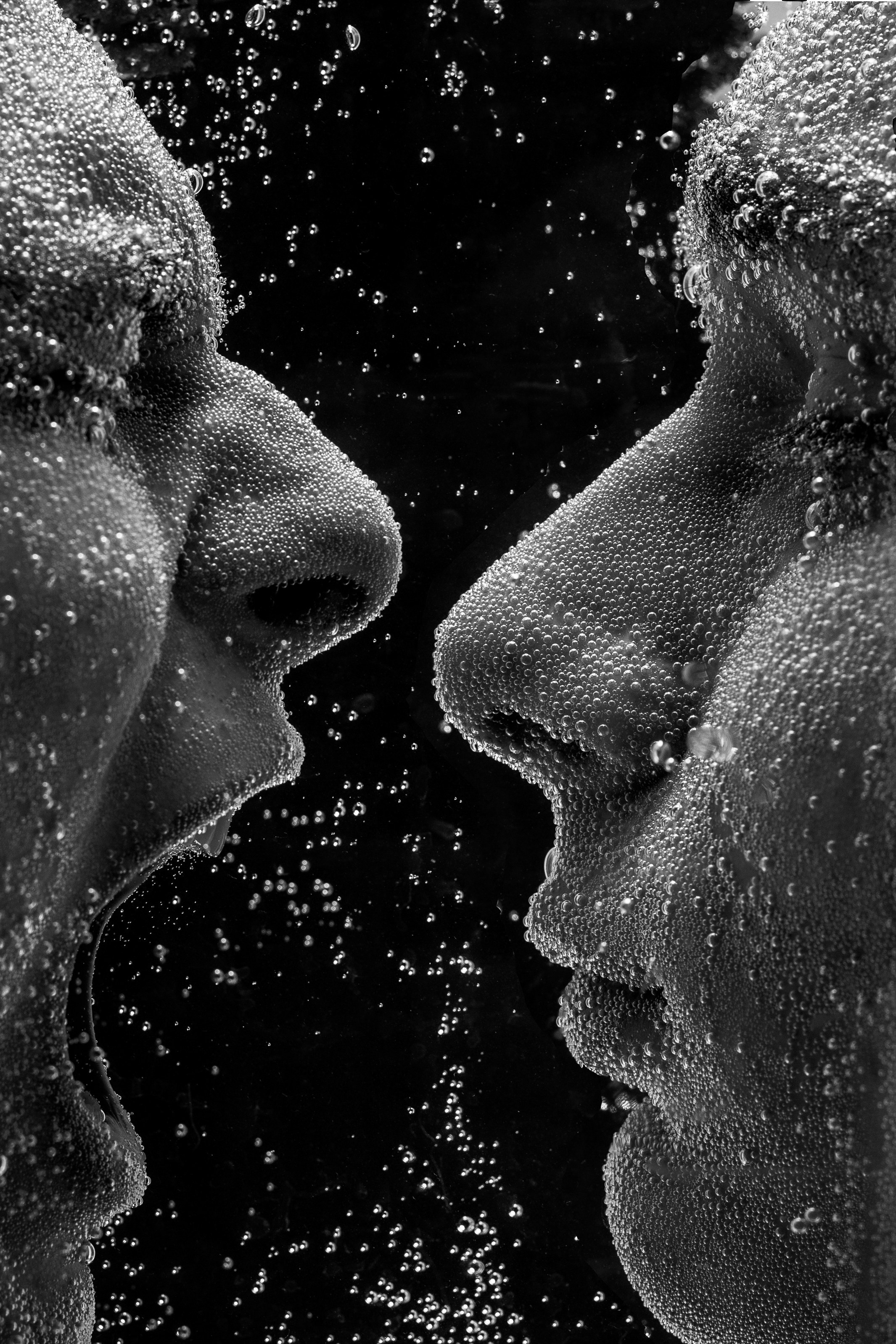 Portfolio Award 2025