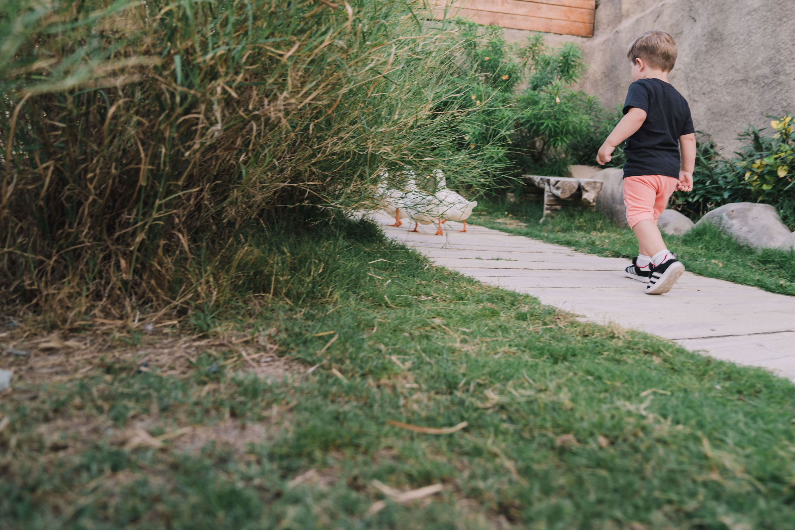smiling boy enjoying riding a swing at Sri Lanka
