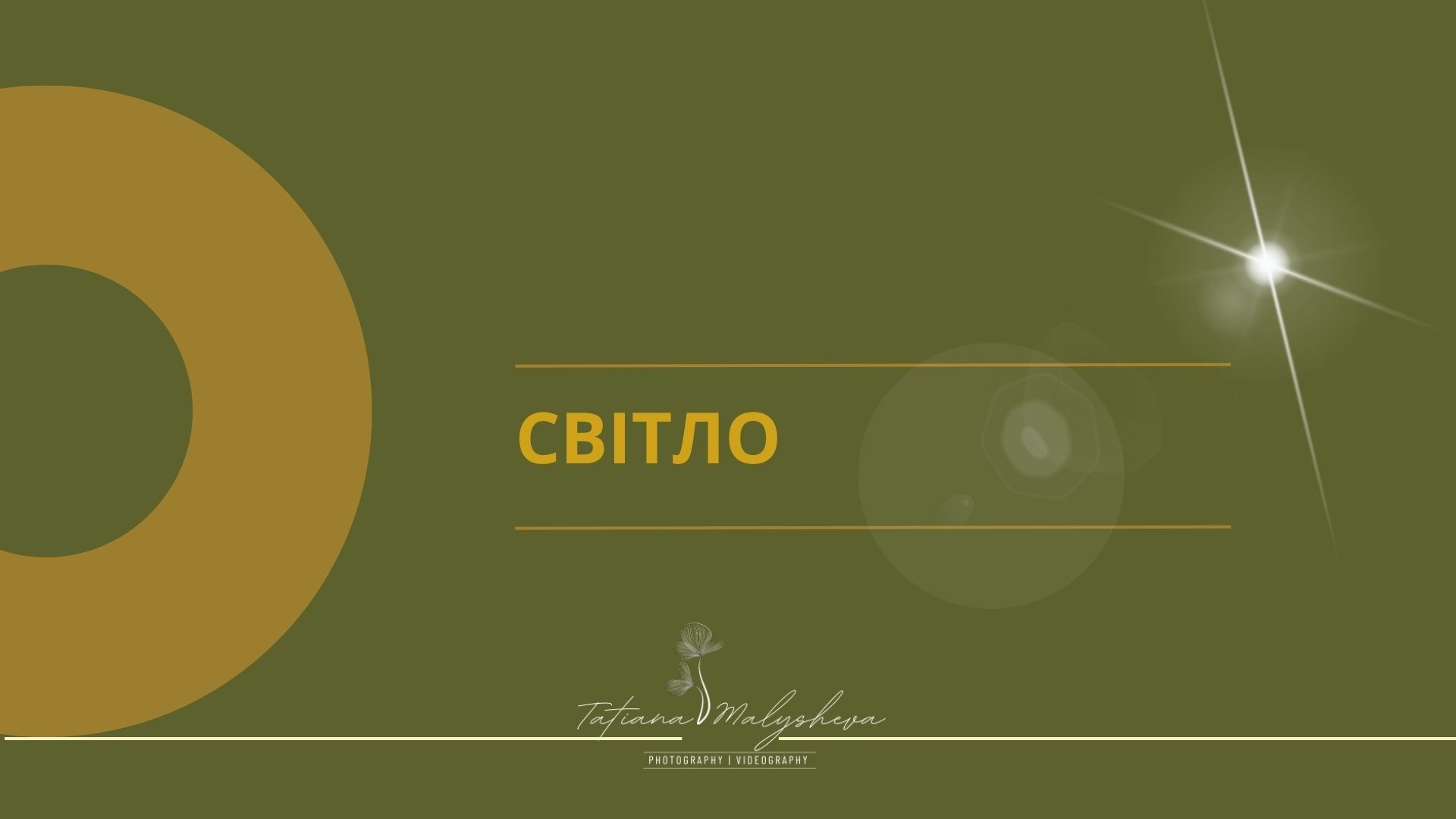 Webinarios. Tatiana Malysheva — lifestyle fotógrafa y videógrafa en Valencia, España