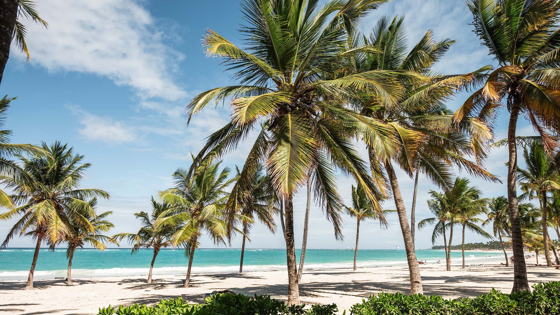 Marriage Proposal Packages in Punta Cana — Romantic Beach & Luxury Experiences. Luxury Marriage Proposals & Wedding Moments in Punta Cana | Mikhail Chernov Photography