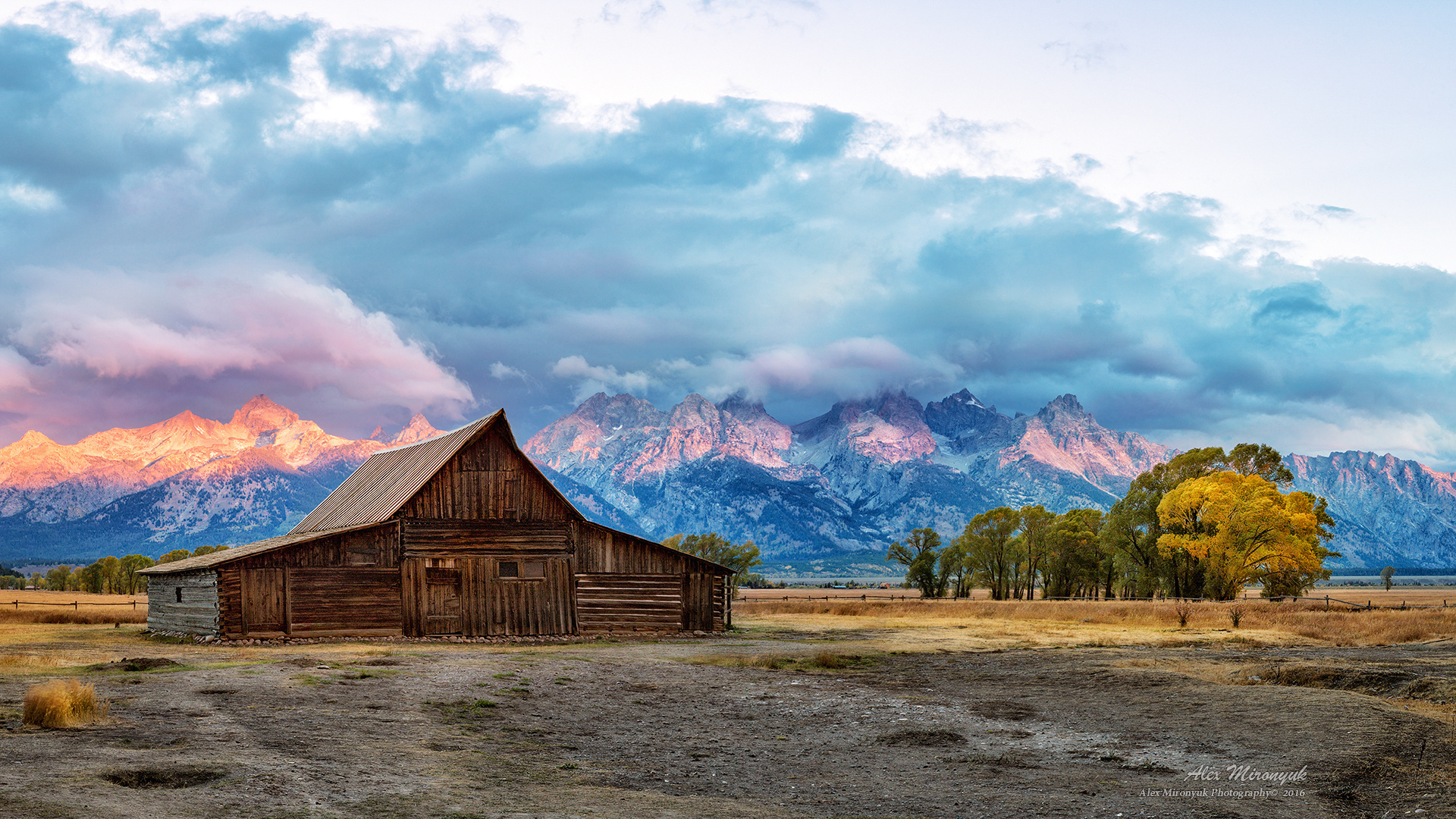 Photo - Workshop “Unforgettable North-West”. Pet, Senior, Landscape, portrait studio, photographer in Miami and Sou