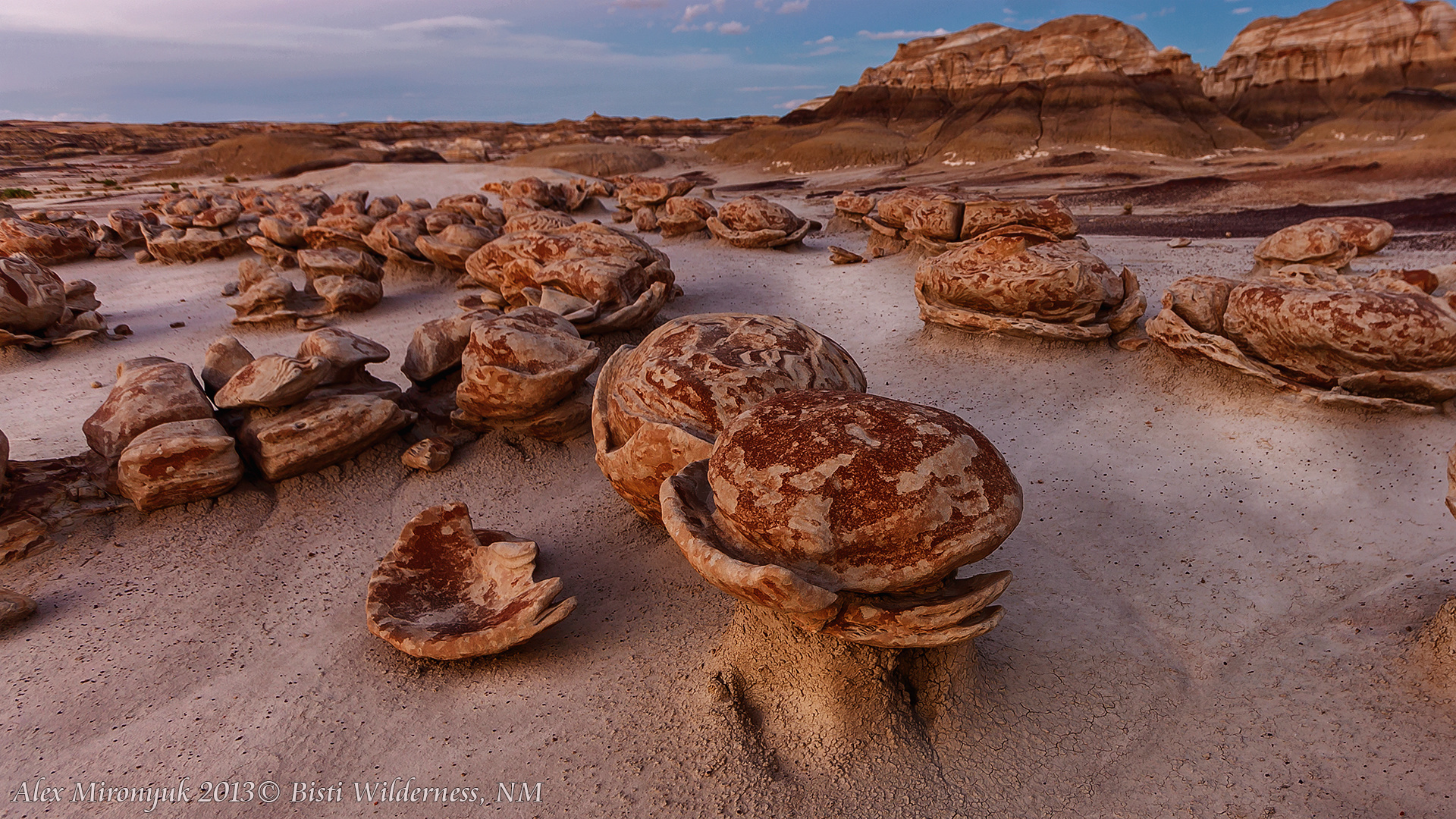 Itenerary. Pet, Senior, Landscape, portrait studio, photographer in Miami and Sou