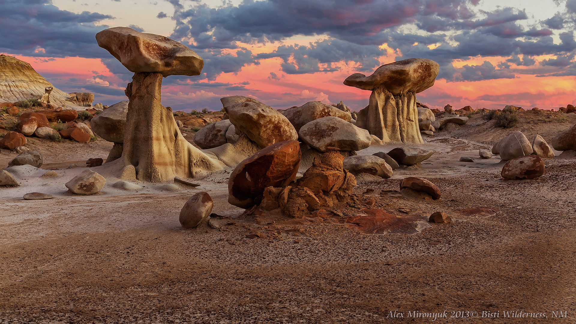 Itenerary. Pet, Senior, Landscape, portrait studio, photographer in Miami and Sou