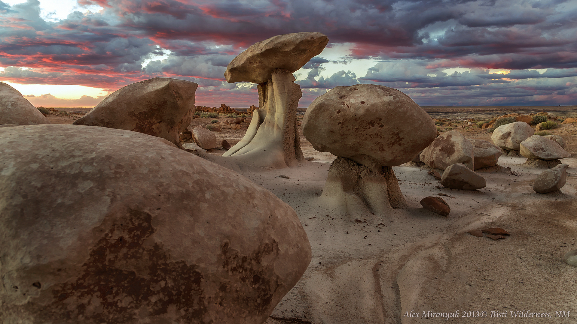 Программа. Alex Mironyuk Photography