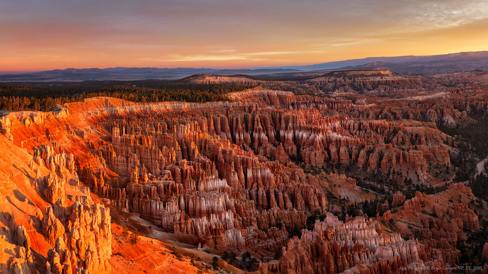 Программа. Alex Mironyuk Photography