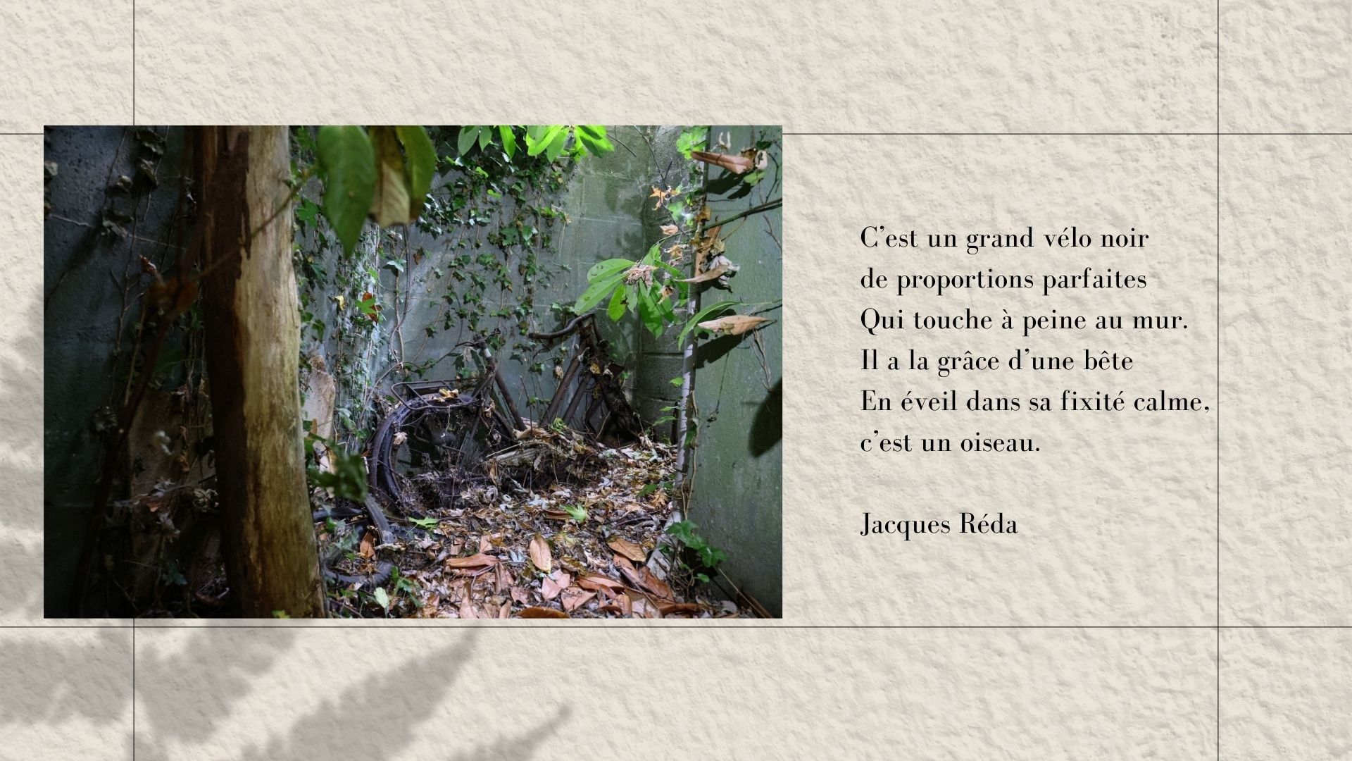 Maison au bois dormant. Natalia Bogdanovska. Films et photographie corporate en France