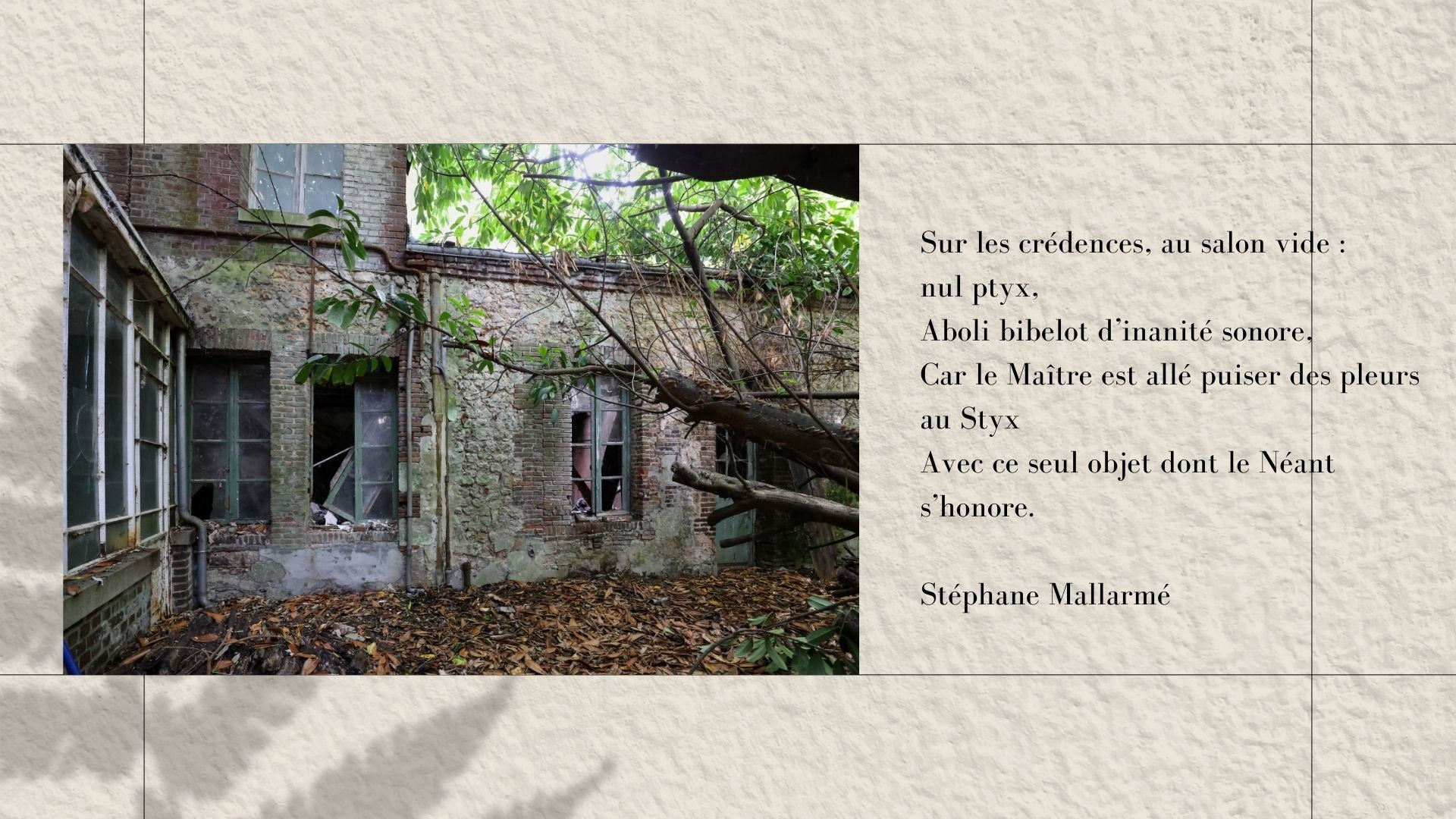 Maison au bois dormant. Natalia Bogdanovska. Films et photographie corporate en France