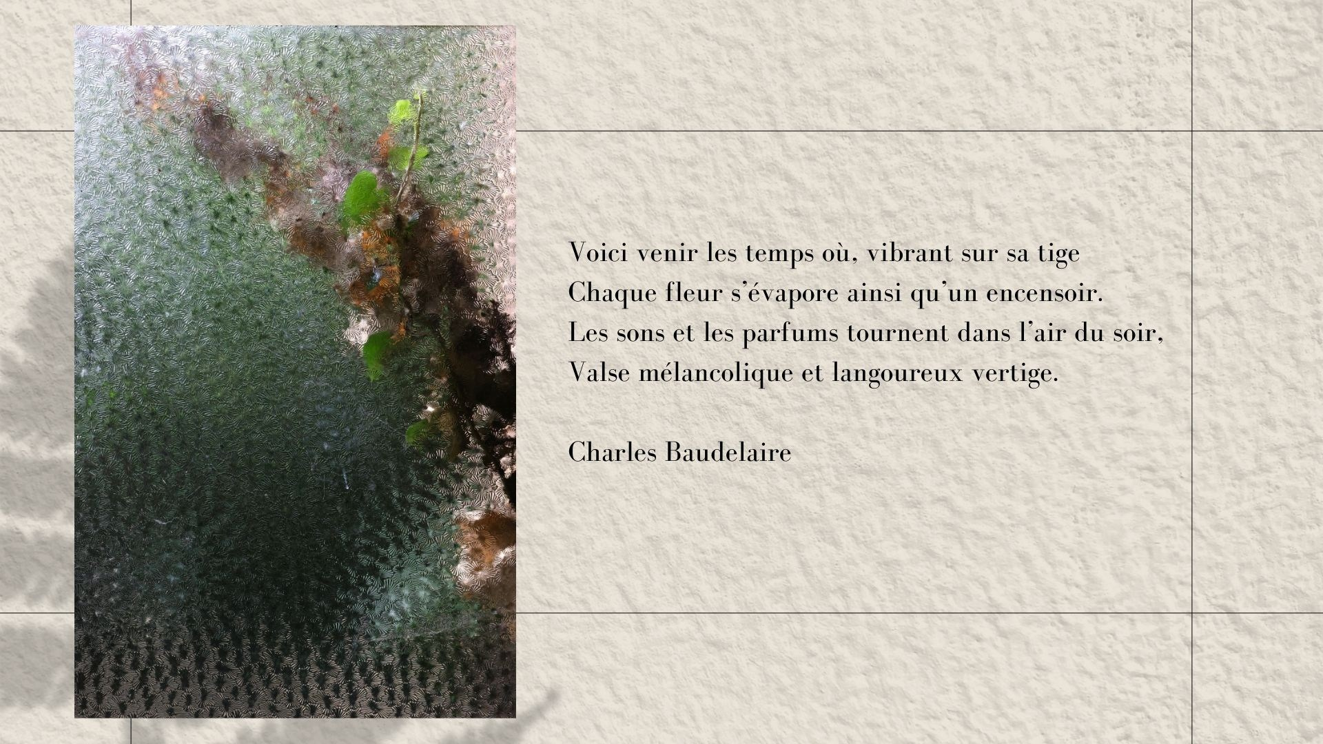 Maison au bois dormant. Natalia Bogdanovska. Films et photographie corporate en France