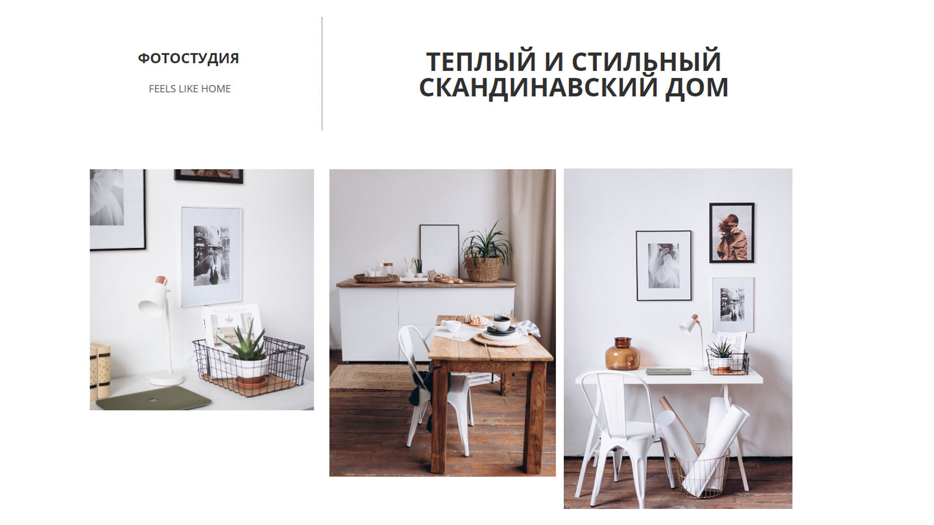 Список фотостудий Днепра (фотостудии Днепр). Олексій Ревуцький - весільний та сімейний фотограф