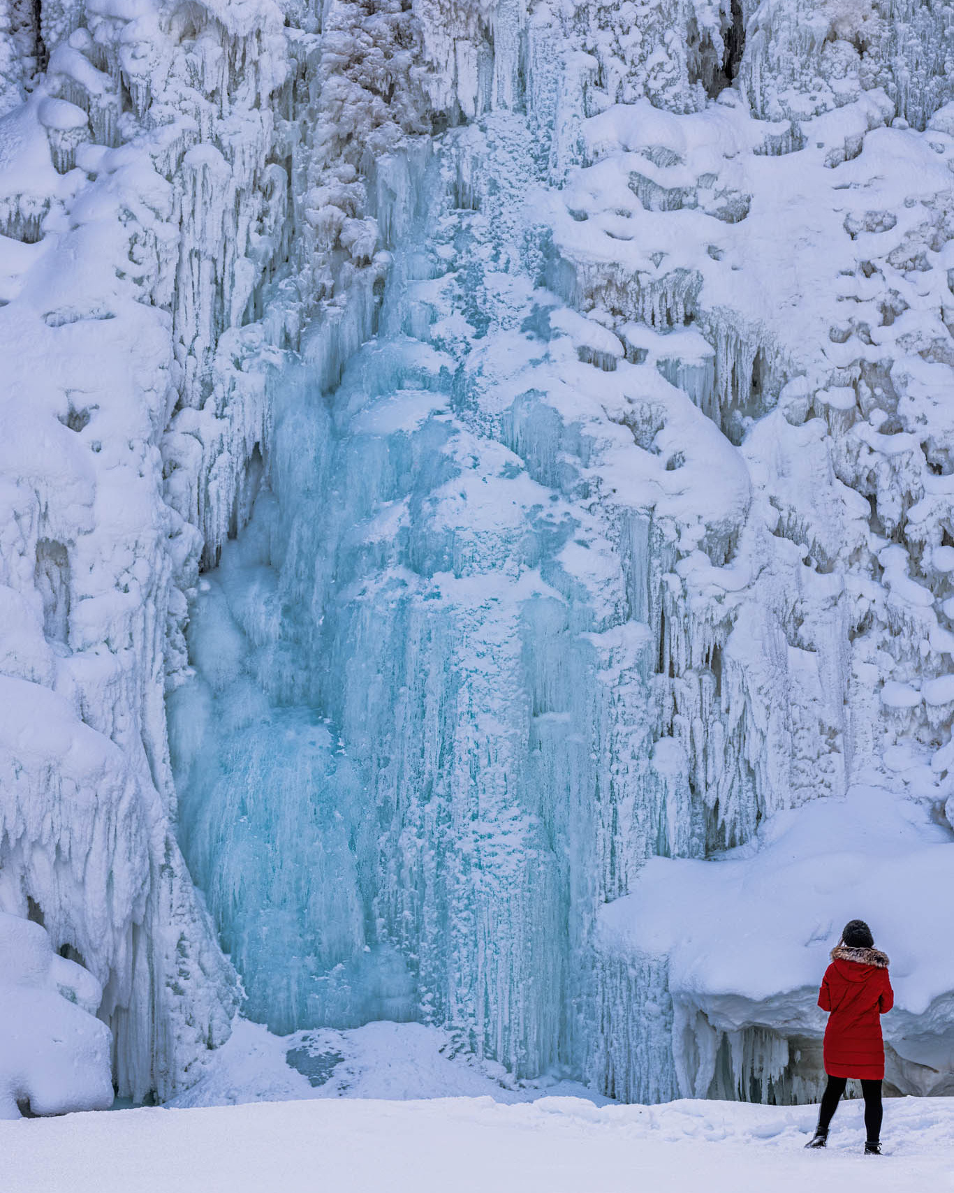 Photographing Winter Wonderland — Canada. Pet, Senior, Landscape, portrait studio, photographer in Miami and Sou