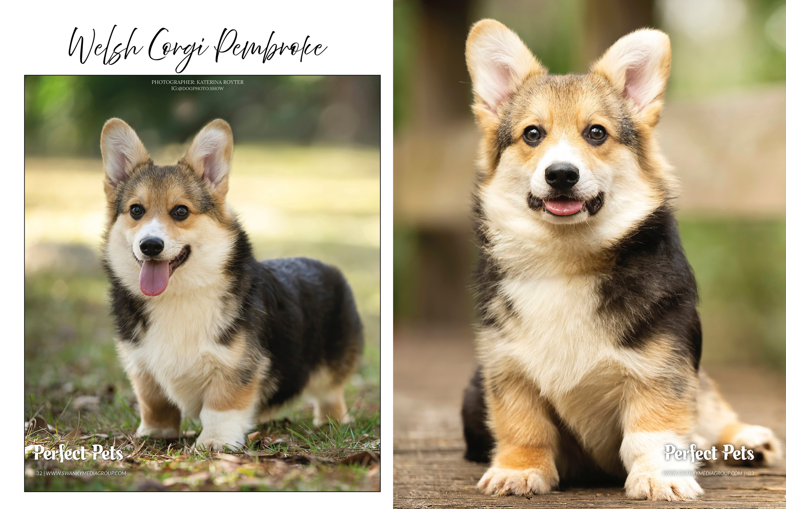 Publications. Katerina Royter Pet Photographer North Florida