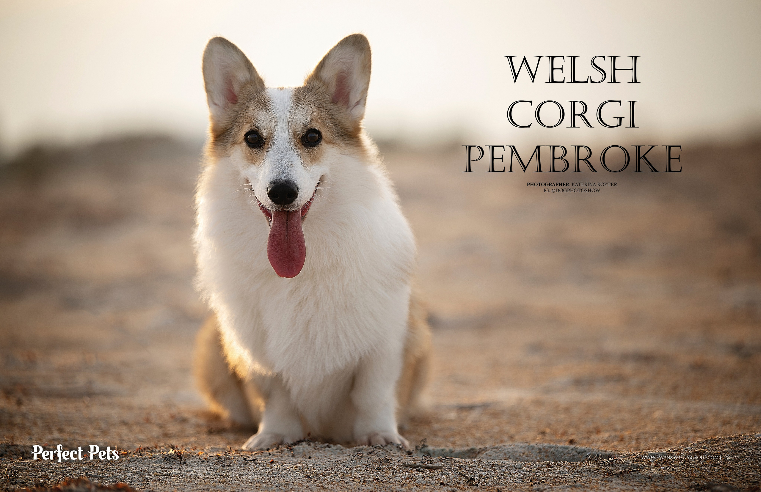 Publications. Katerina Royter Pet Photographer North Florida