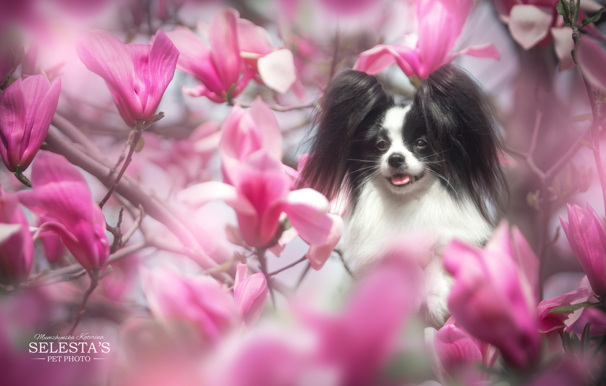 Фотошкола. Фотограф Катерина Мумжинська