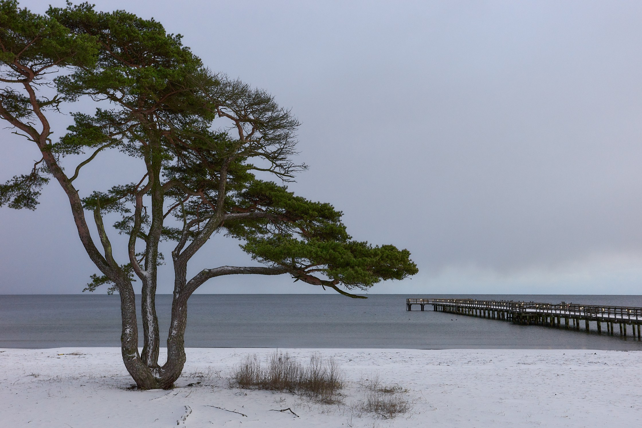 Winter photowalk in Åhus. Yuri Popkov | Photographer