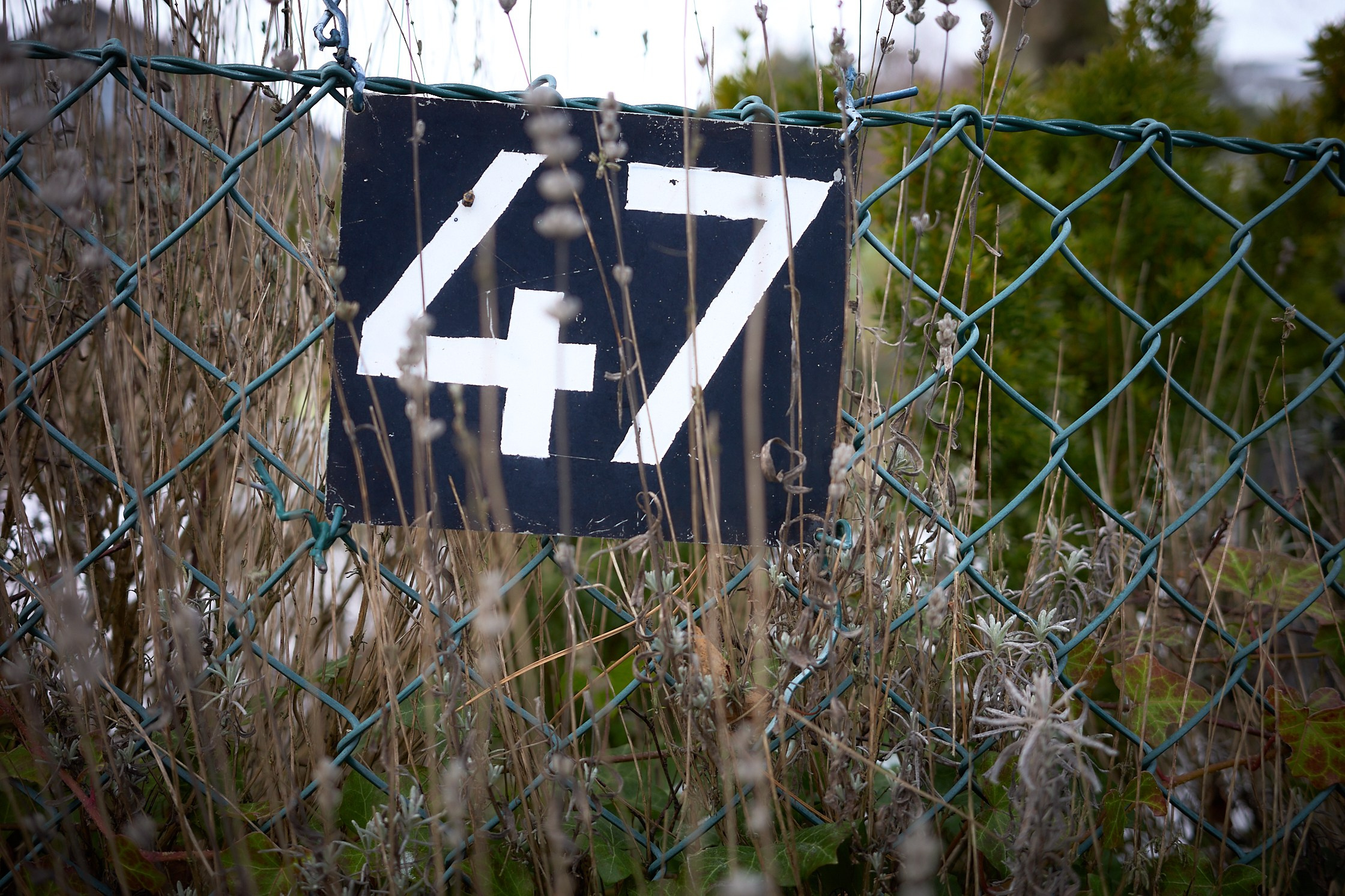 Winter photowalk in Åhus. Yuri Popkov | Photographer