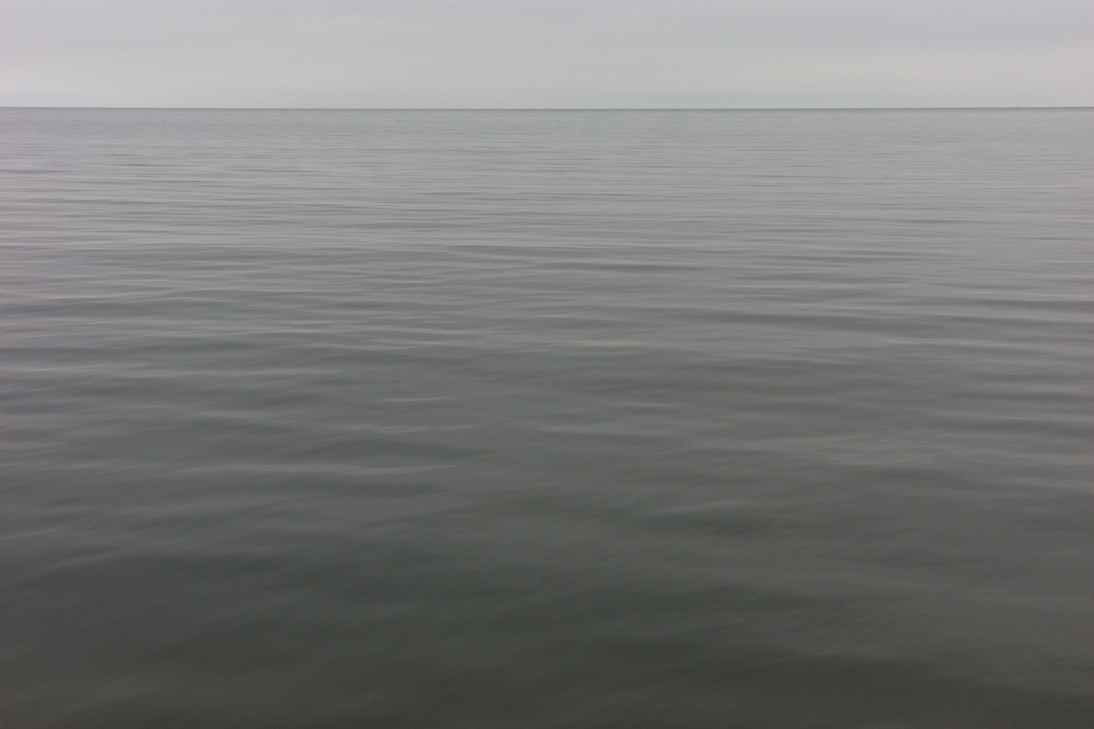 My favourite photos, class of 2024. Yuri Popkov | Photographer