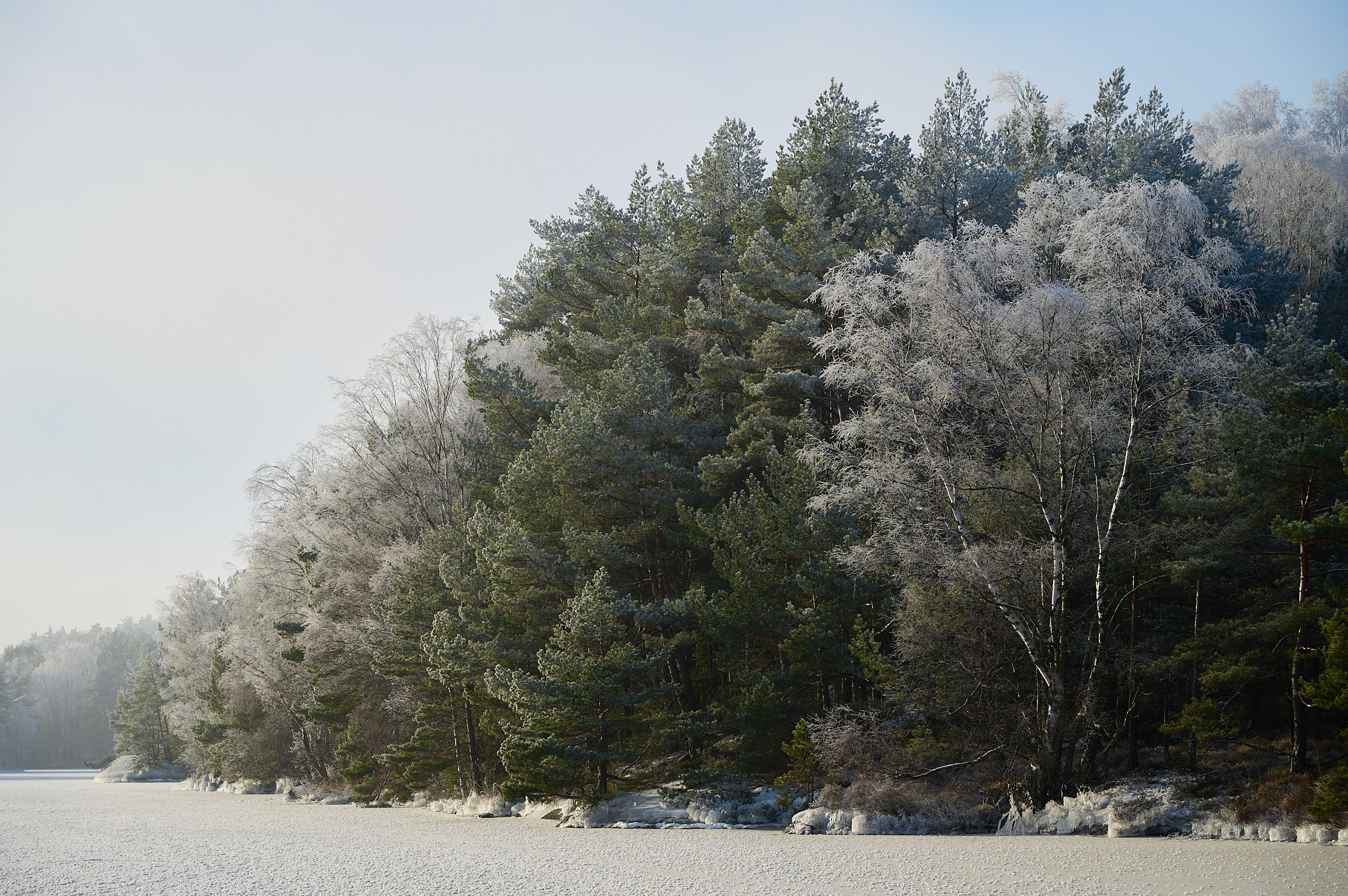 My favourite photos, class of 2024. Yuri Popkov | Photographer