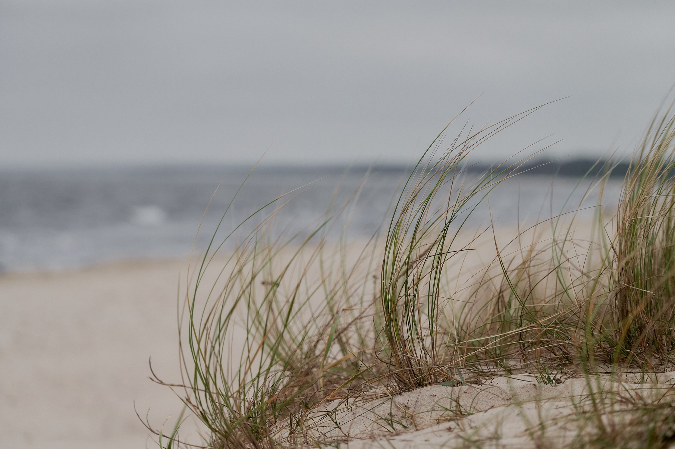 My favourite photos, class of 2024. Yuri Popkov | Photographer