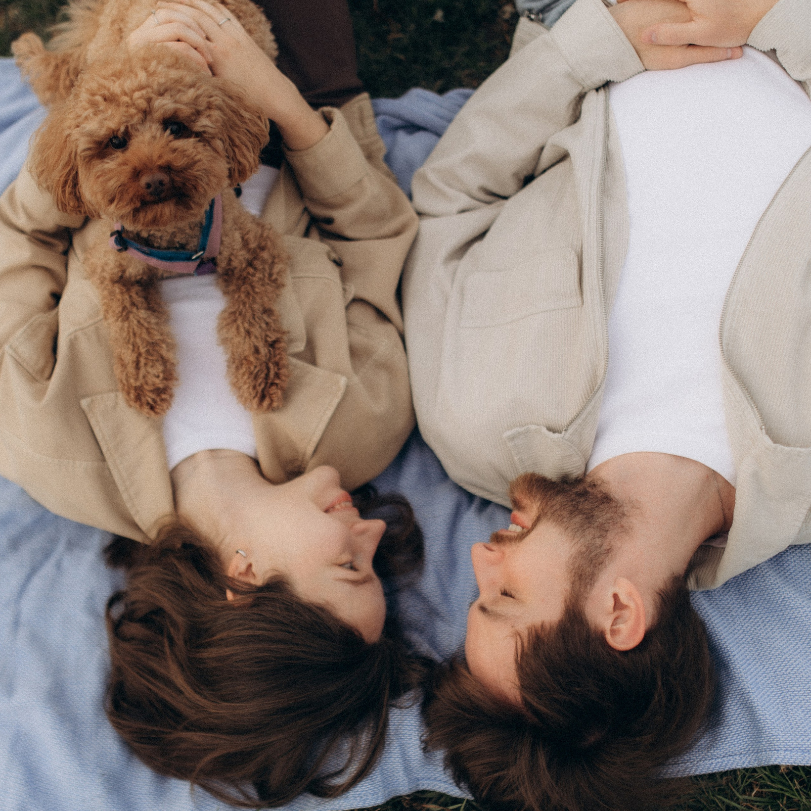 Навчання. Фотограф-анімаліст Київ