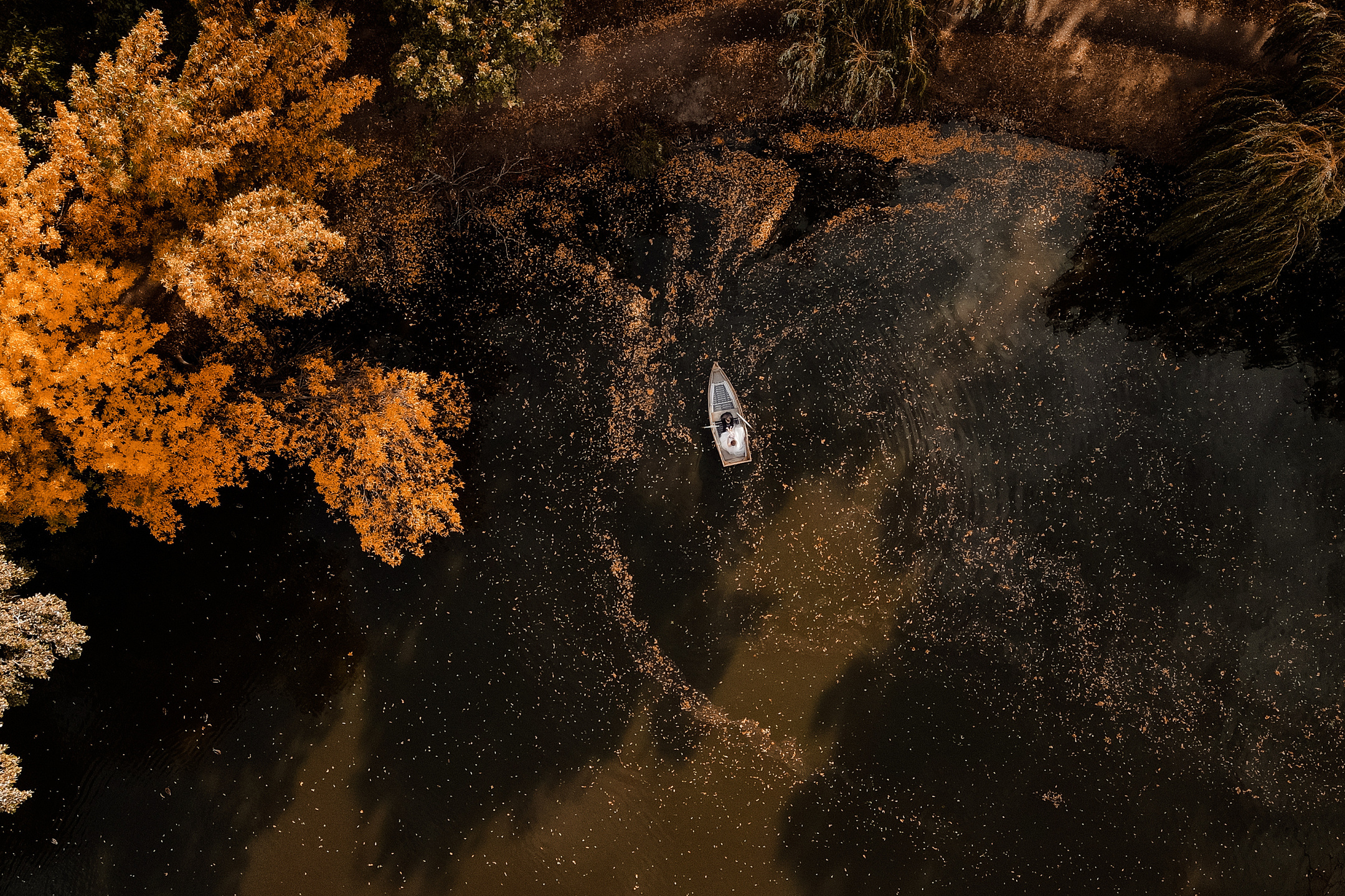 Prices and services. Semashko Photography — весільні та сімейні фотографи