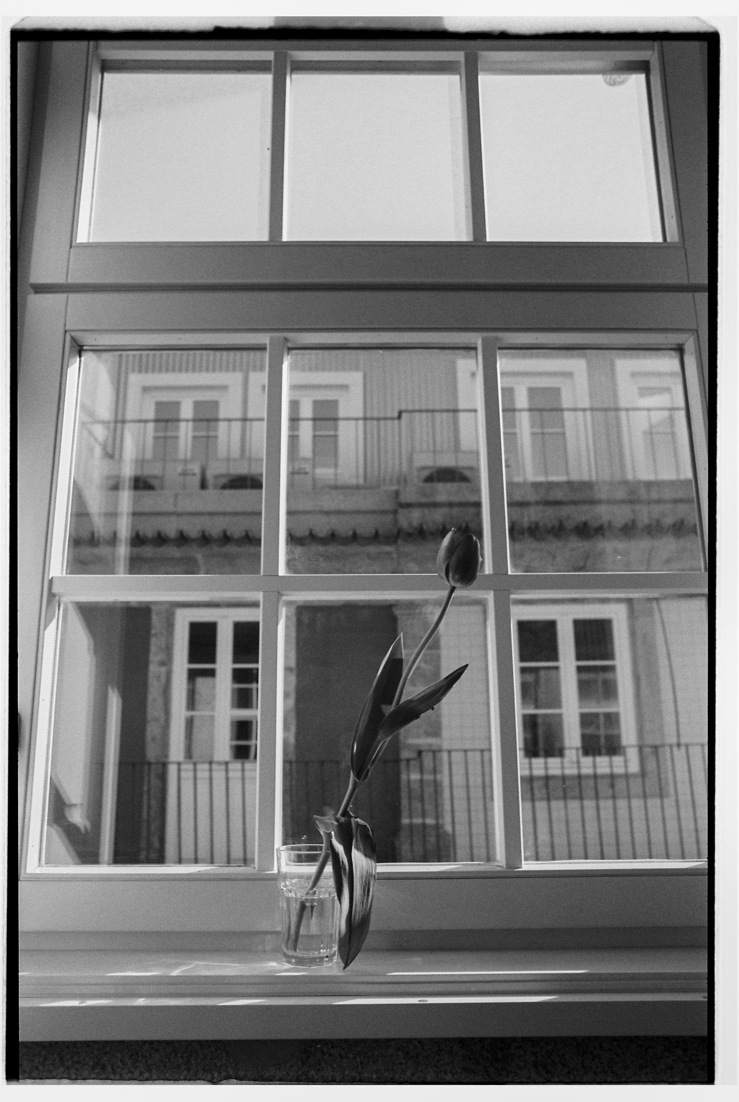 Therapeutic Photography Course: Self-Inquiry with Lens-Based Practices. Lilit Danielyan | Photographer & Videographer