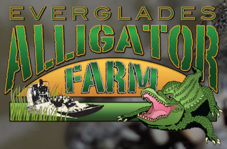 Everglades Alligator Farm. Family and Event photographer in Homestead and Miami areas of Florida