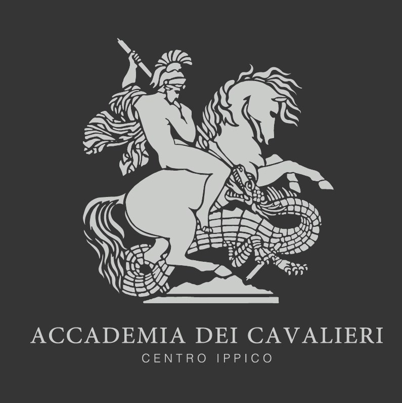 Accademia Dei Cavalieri - brand identity. Aura Studio / co-design space
