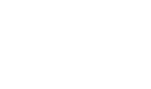 ankushpatelphotography.wfolio.pro