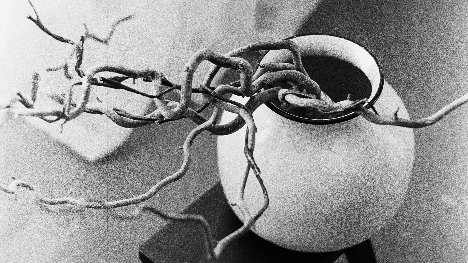 Контакты. Фотограф Москва Екатерина Сенькина