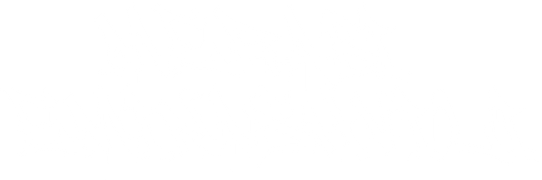 eminashvilimerabi.com