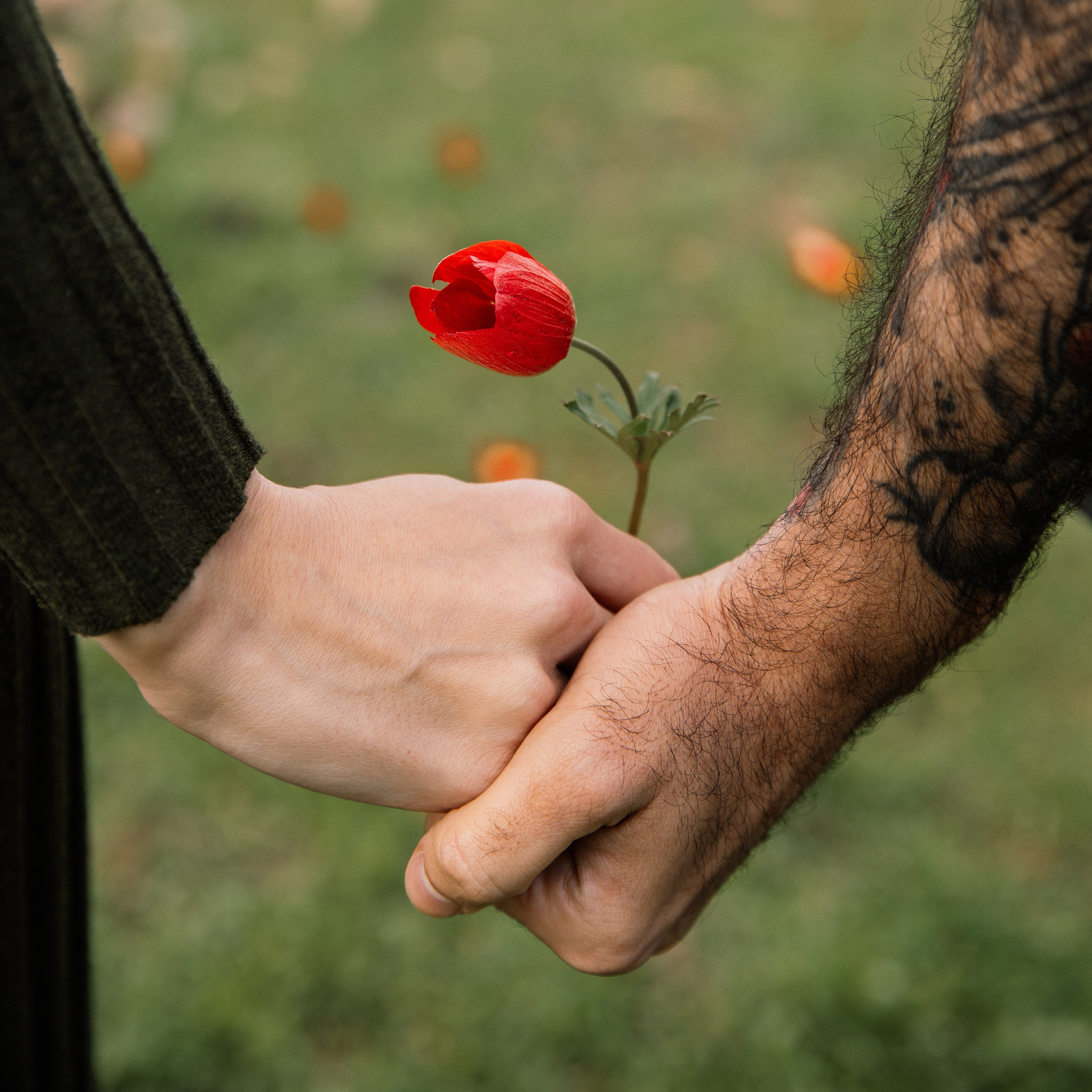 Вопросы. Семейный фотограф в Израиле