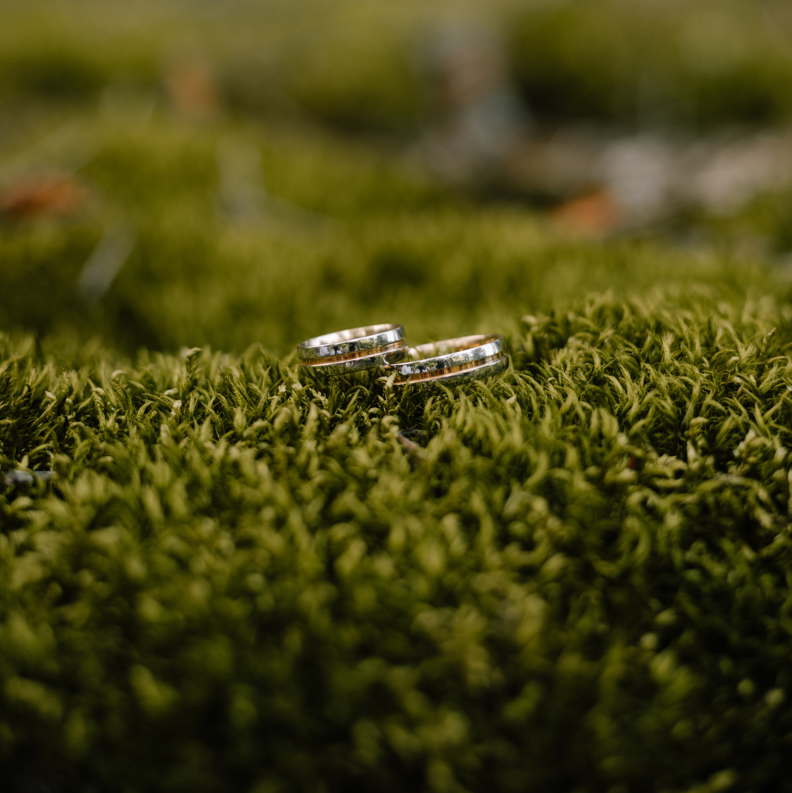 Ціни. Весільний та сімейний фотограф у Харкові Ткаченко Світлана