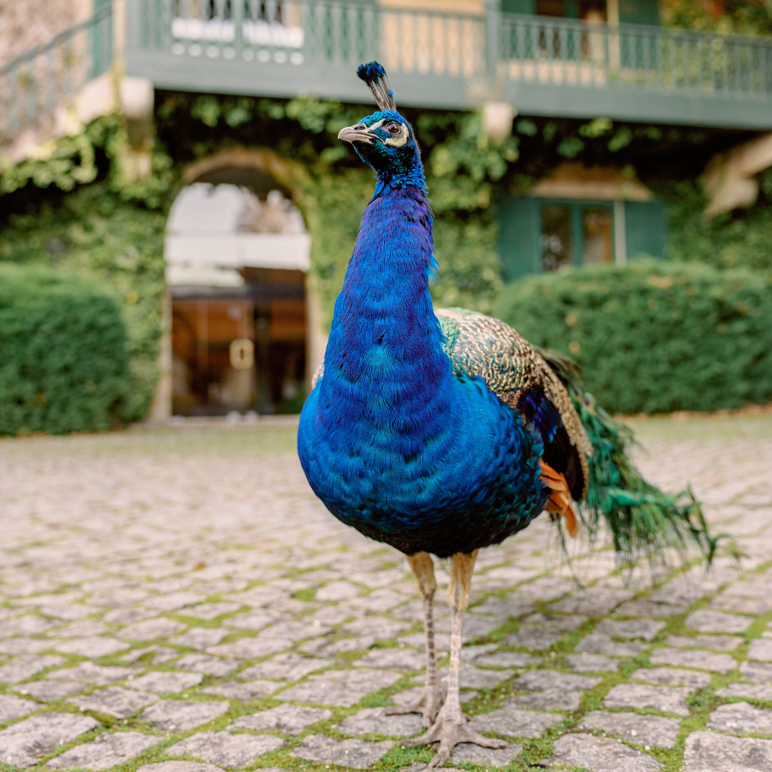 Гид в Порту. Туры по северу Португалии