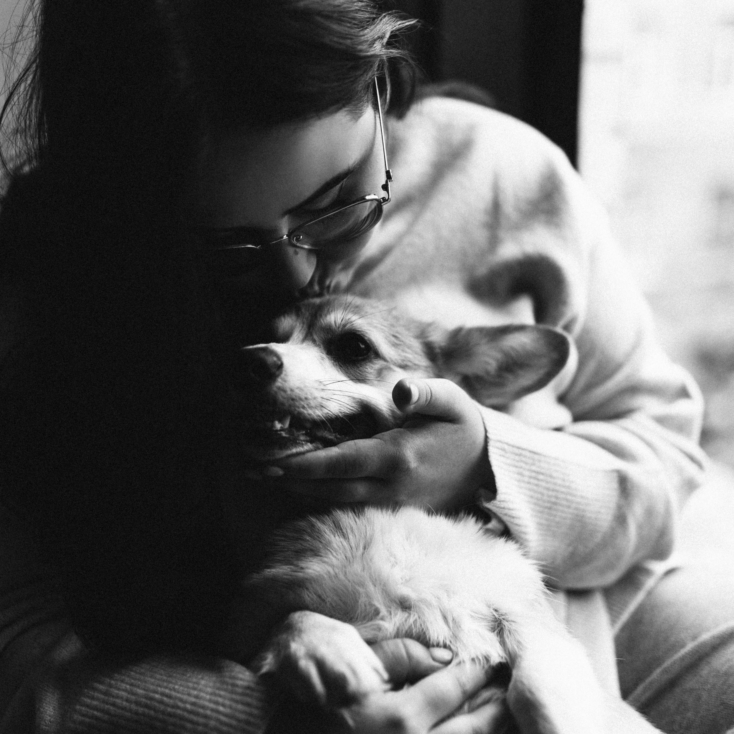 Навчання. Фотограф-анімаліст Київ