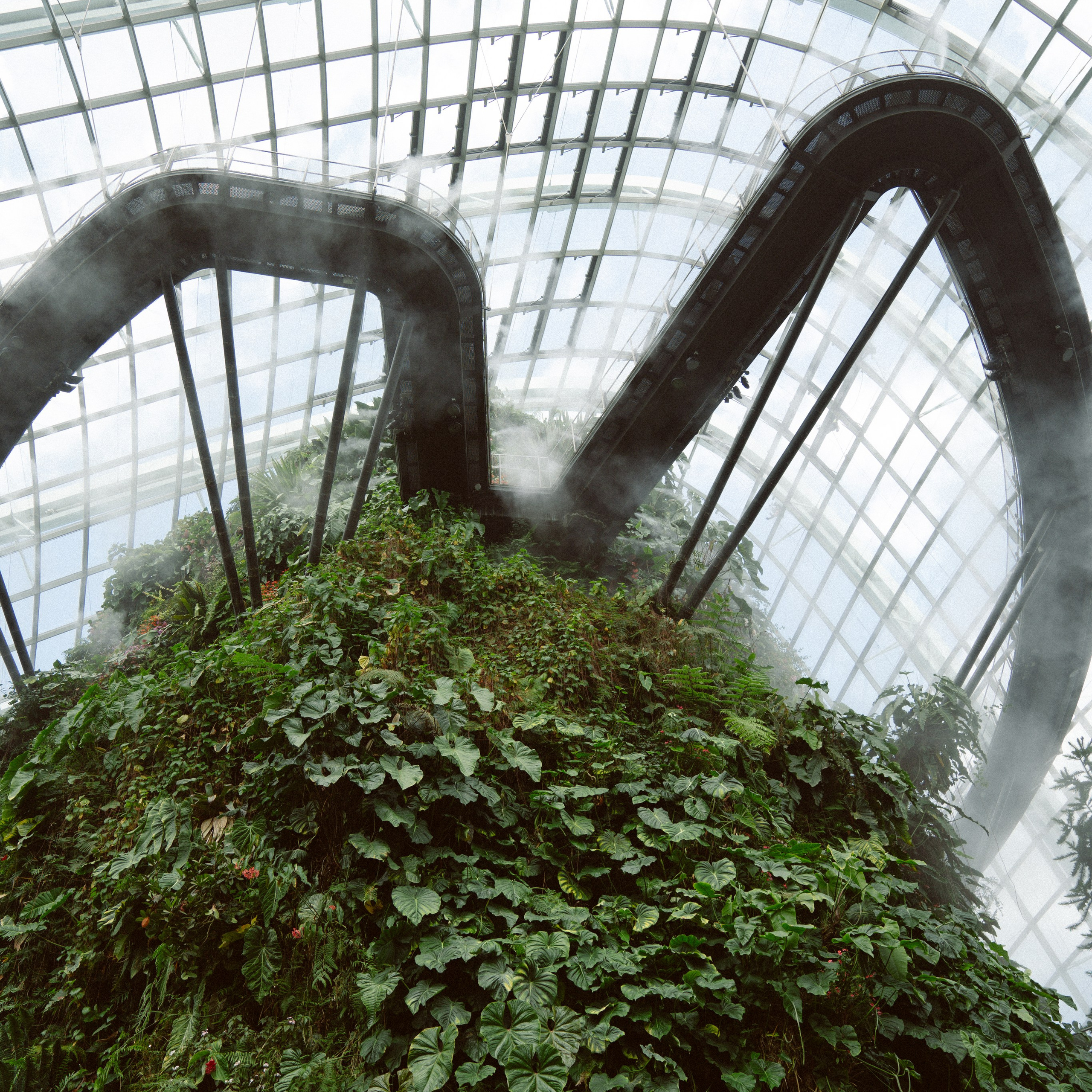 Gardens by the Bay. Dasha in Singapore
