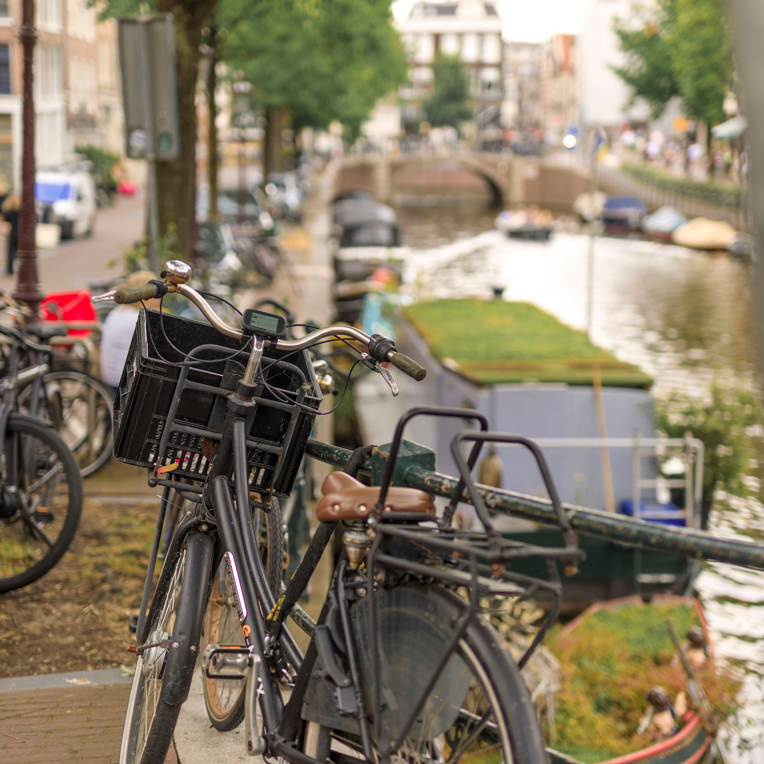Family photographer in Amsterdam Keicappa Photography